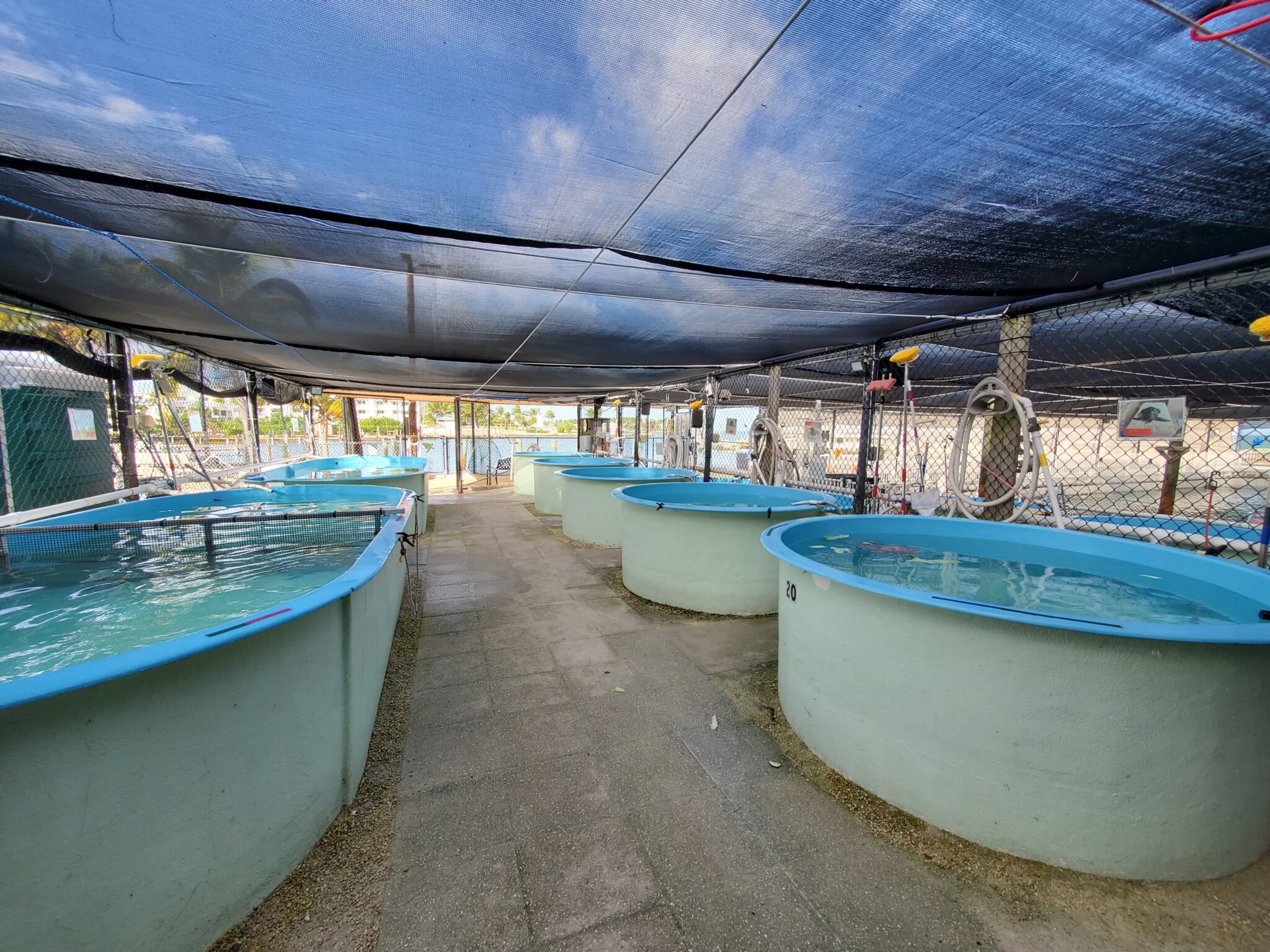 Our Facility – The Turtle Hospital. Rescue, Rehab, Release.