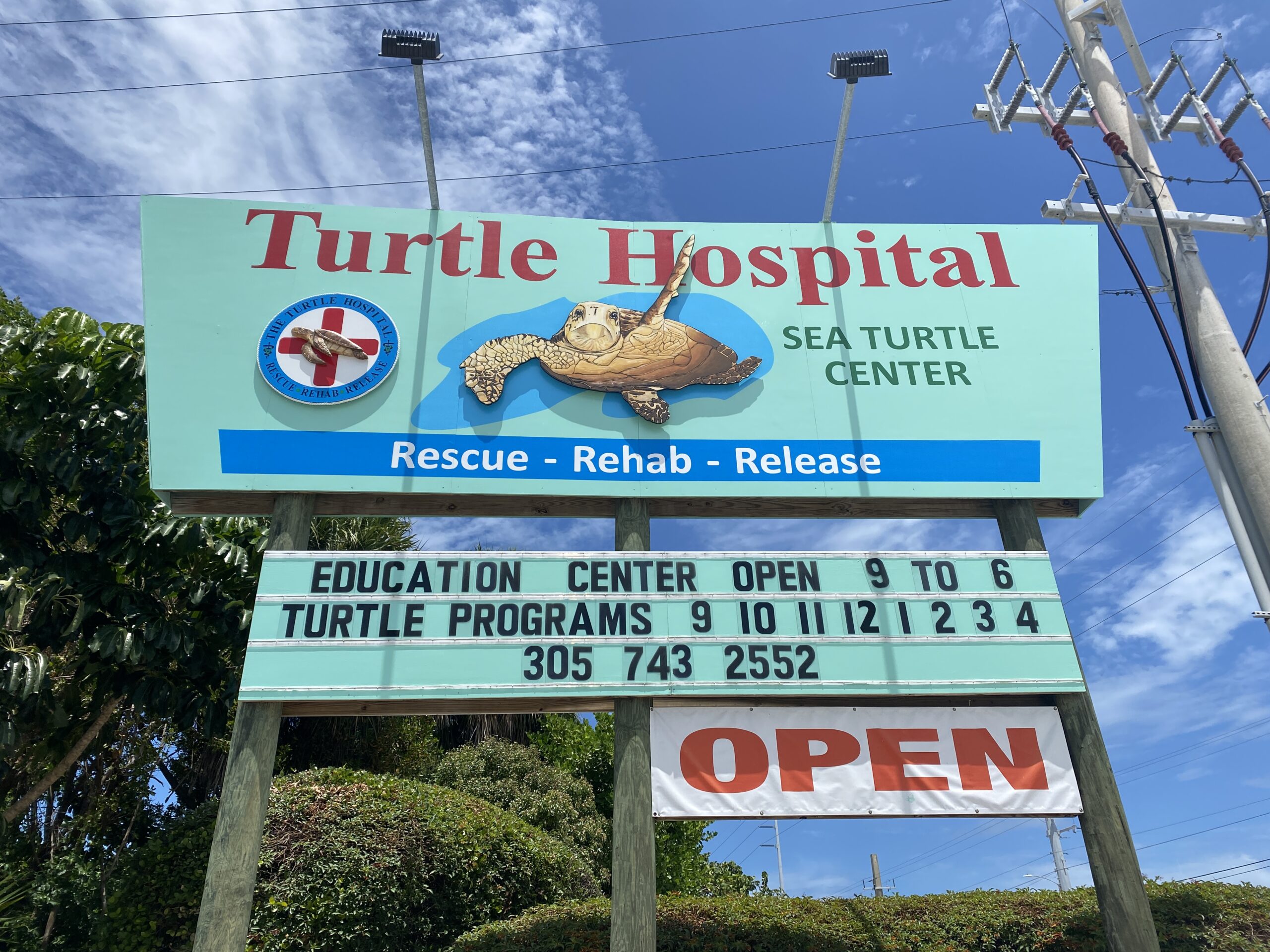 Chala Collection – The Turtle Hospital