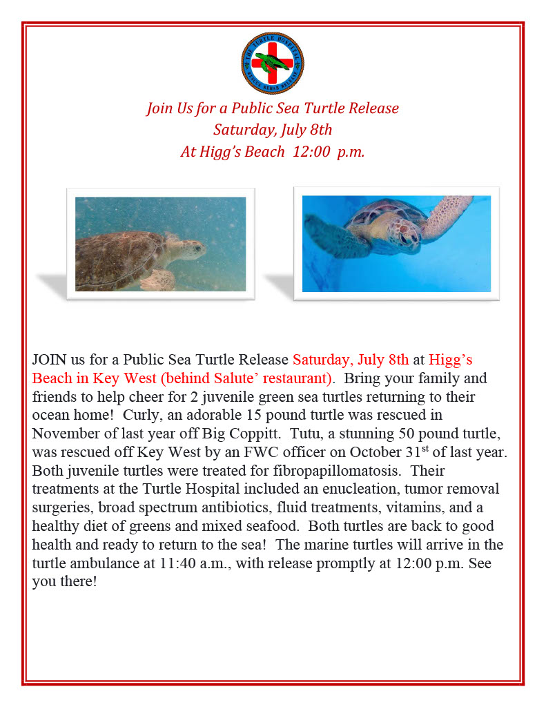 Public Sea Turtle Release – The Turtle Hospital. Rescue, Rehab, Release.