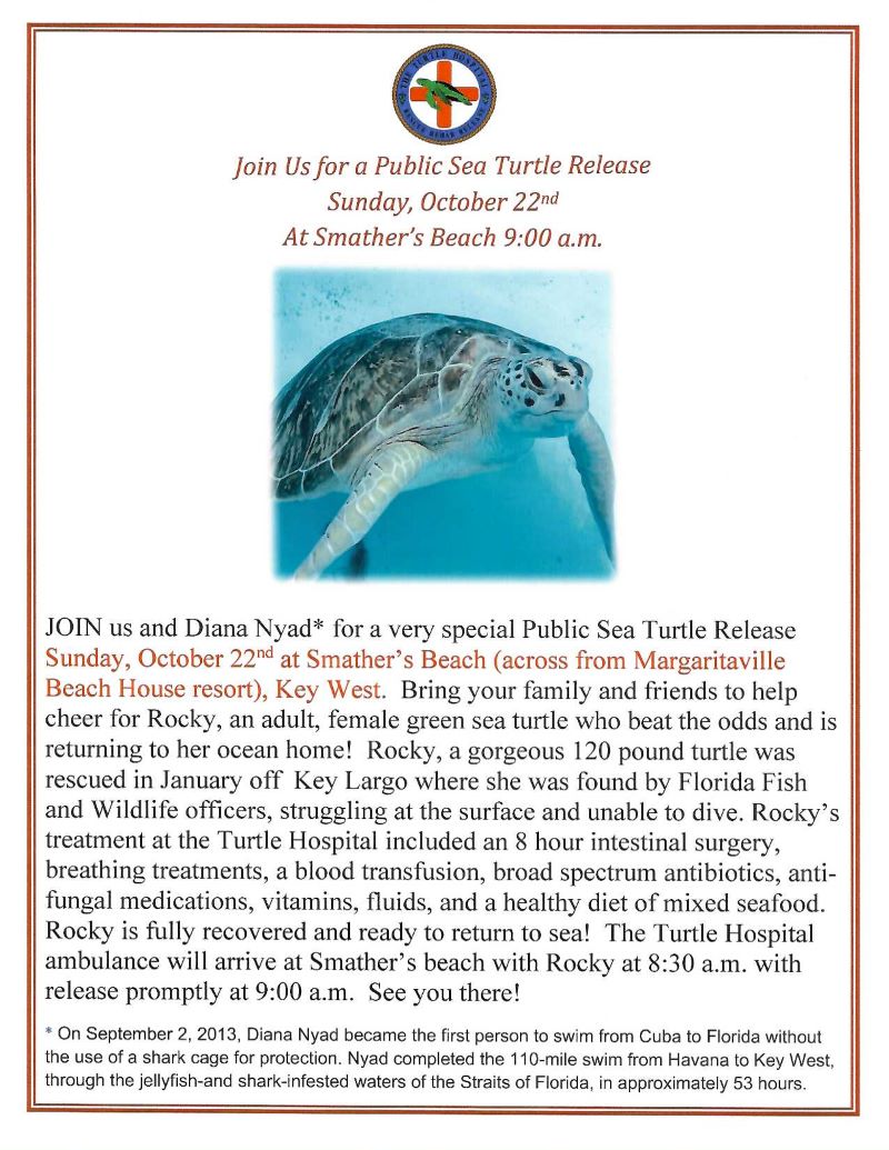 Public Sea Turtle Release – The Turtle Hospital. Rescue, Rehab, Release.