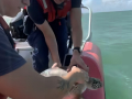 Being released by the US Coast Guard