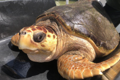 Briana-sun-on-face-9-18-18-cropped