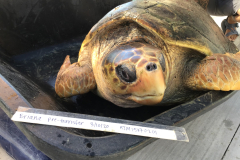 Photo-Mar-10-3-57-09-PM