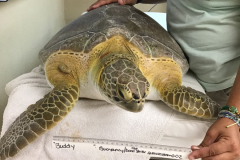 Photo-Mar-28-6-15-00-PM