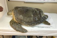 Photo-Mar-28-6-15-30-PM