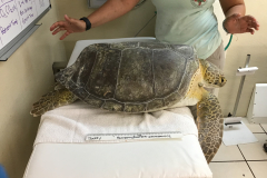 Photo-Mar-28-6-16-09-PM